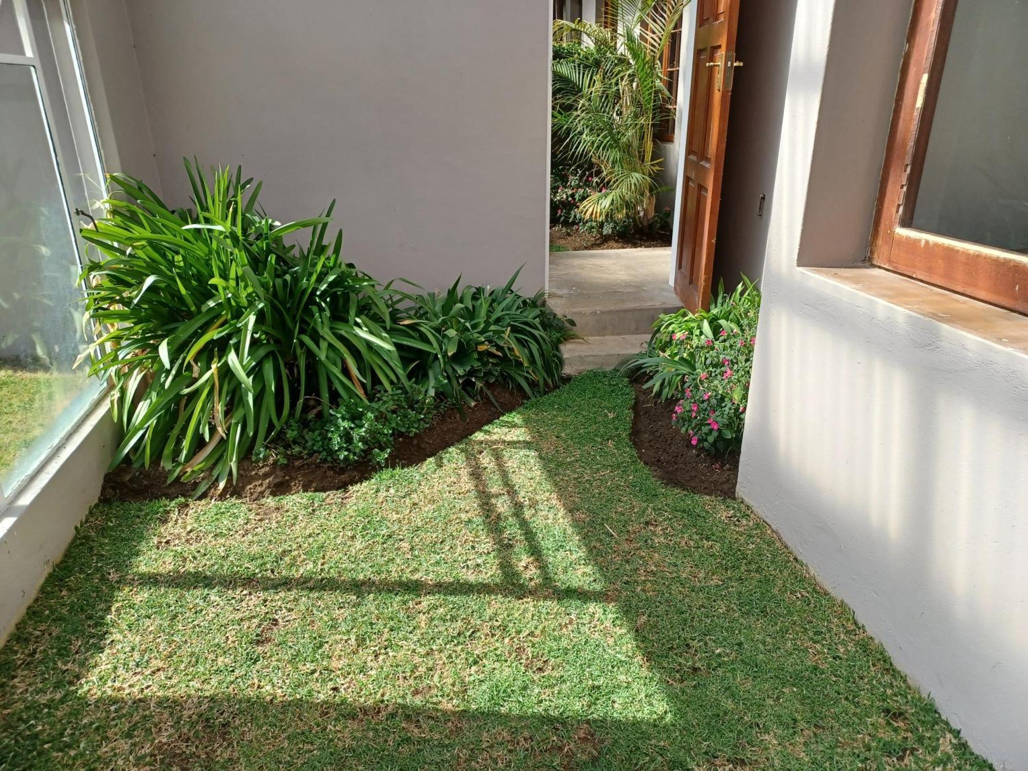 Drakensberg Mountain Retreat Guest House เบิร์กวิลล์ ภายนอก รูปภาพ