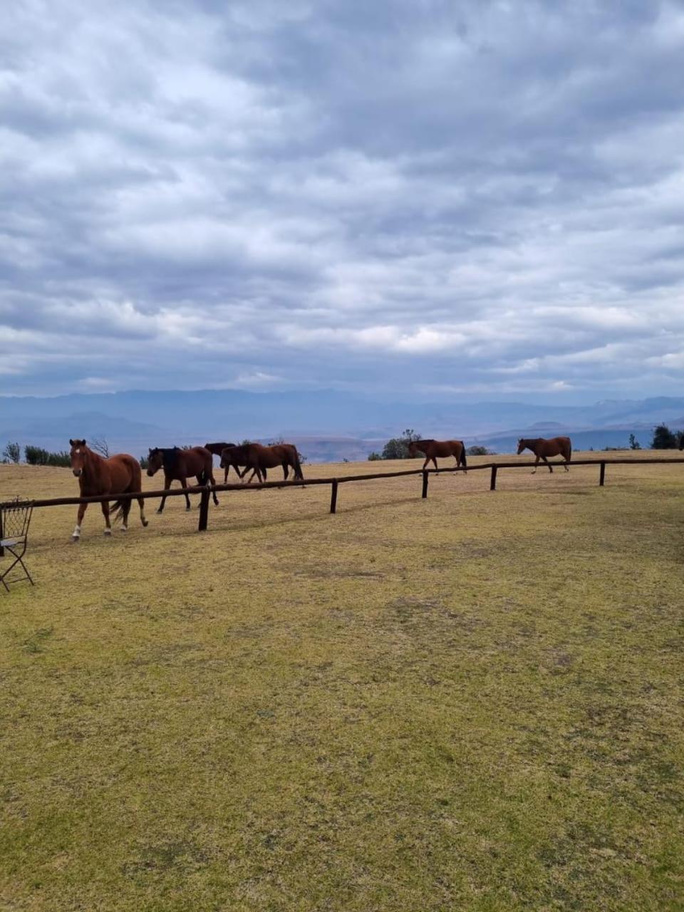 Drakensberg Mountain Retreat Guest House เบิร์กวิลล์ ภายนอก รูปภาพ