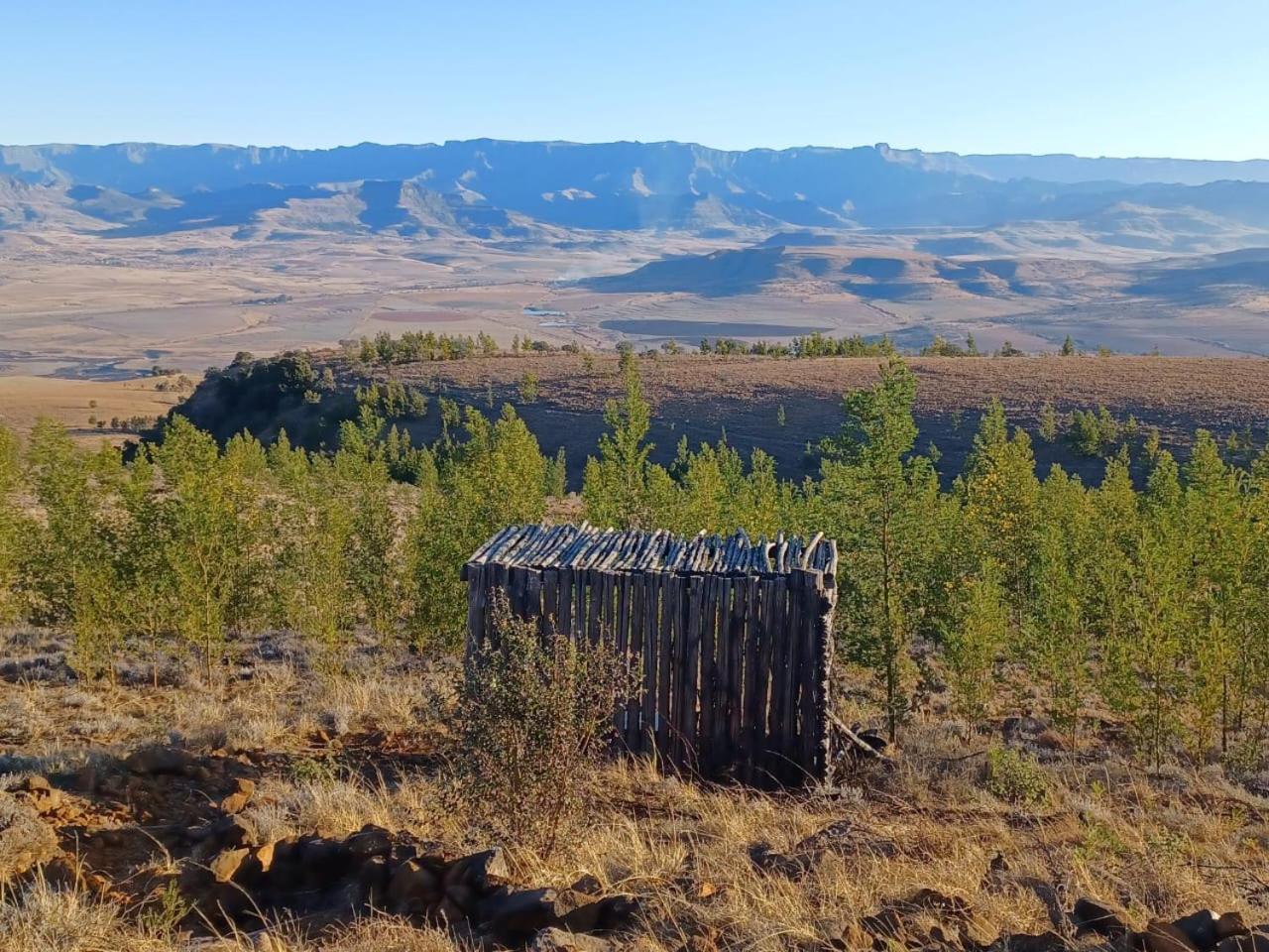 Drakensberg Mountain Retreat Guest House เบิร์กวิลล์ ภายนอก รูปภาพ