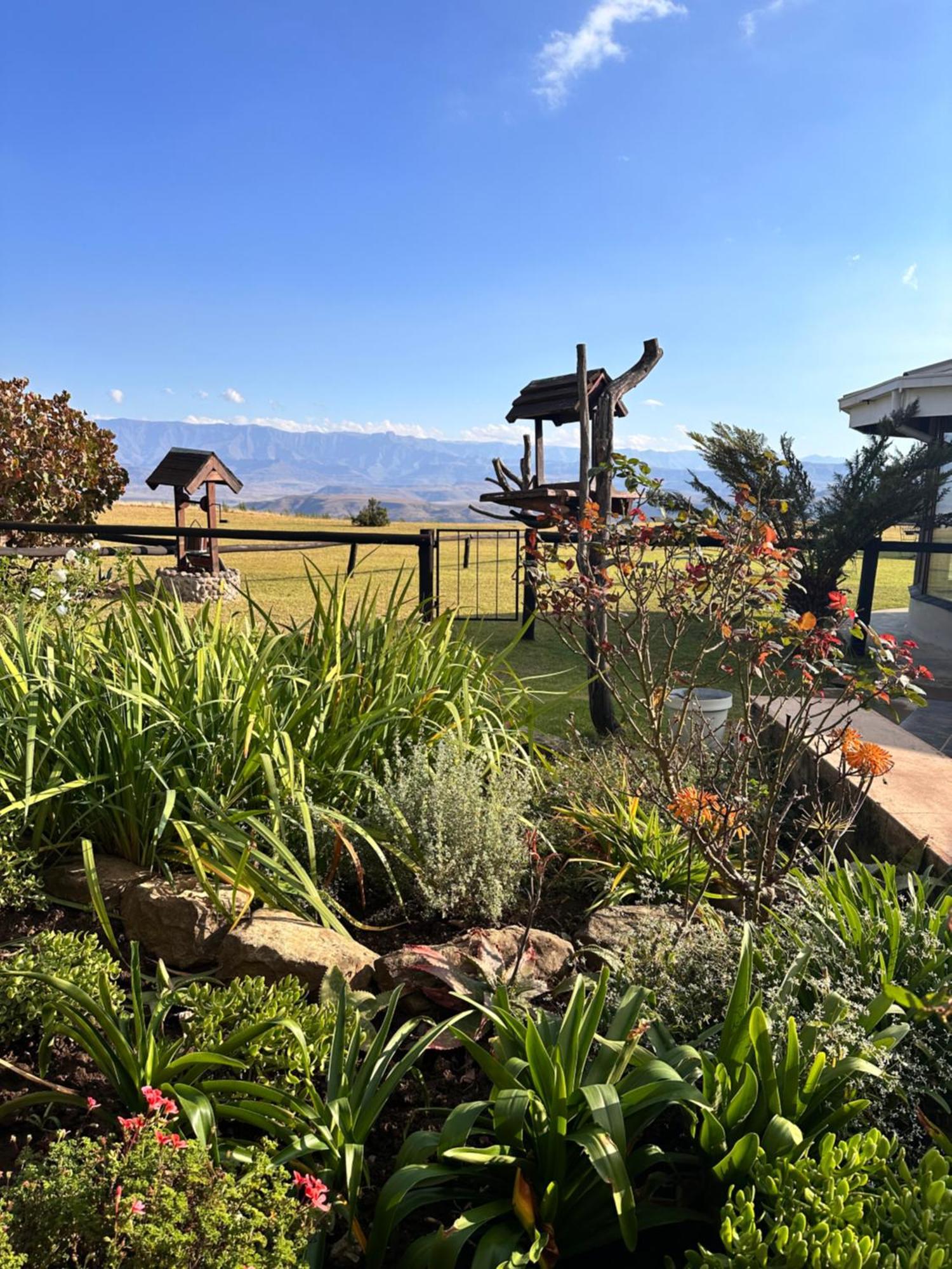 Drakensberg Mountain Retreat Guest House เบิร์กวิลล์ ภายนอก รูปภาพ